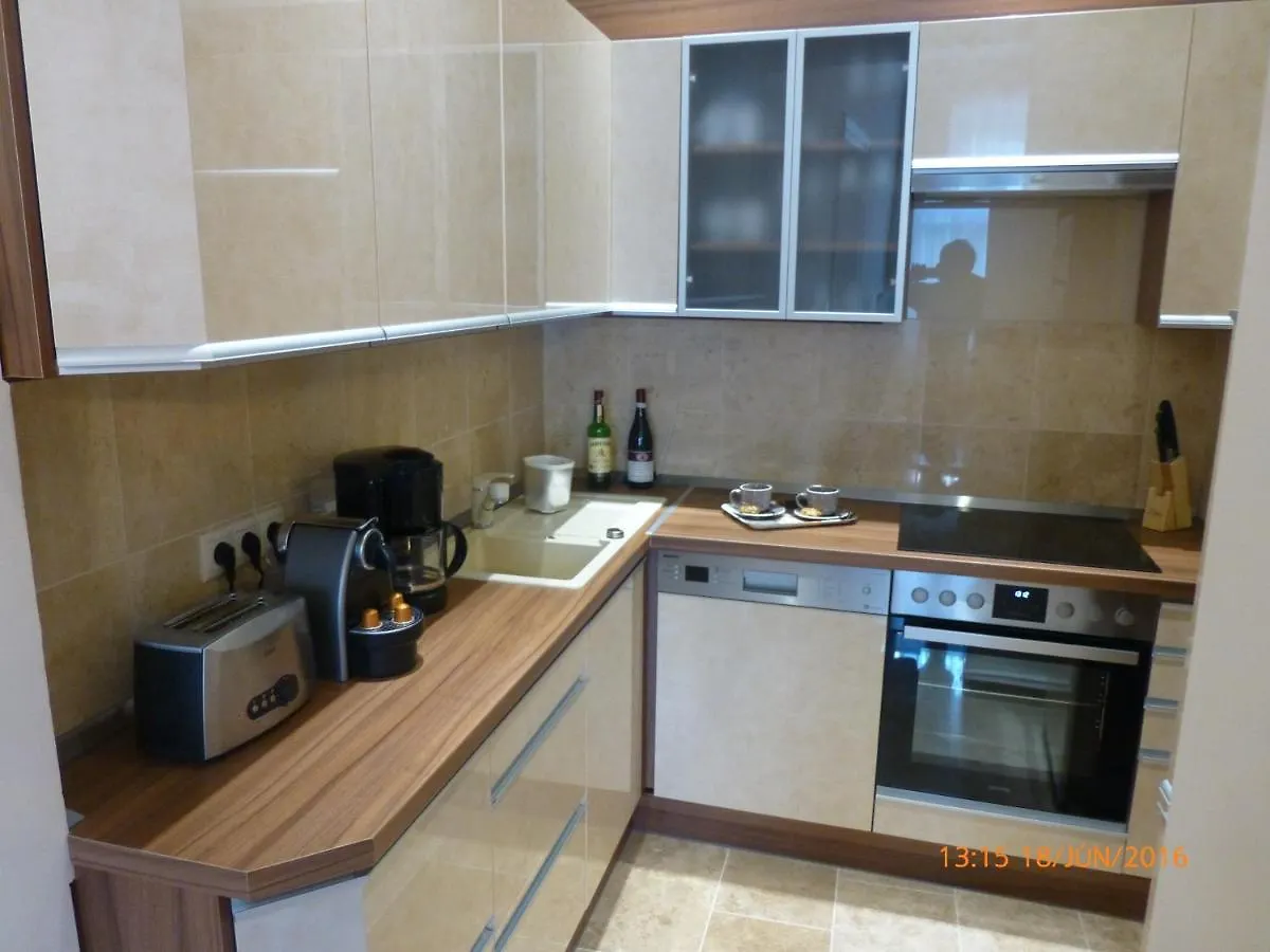 Elegant Apartment With Buda Castle View Budapest